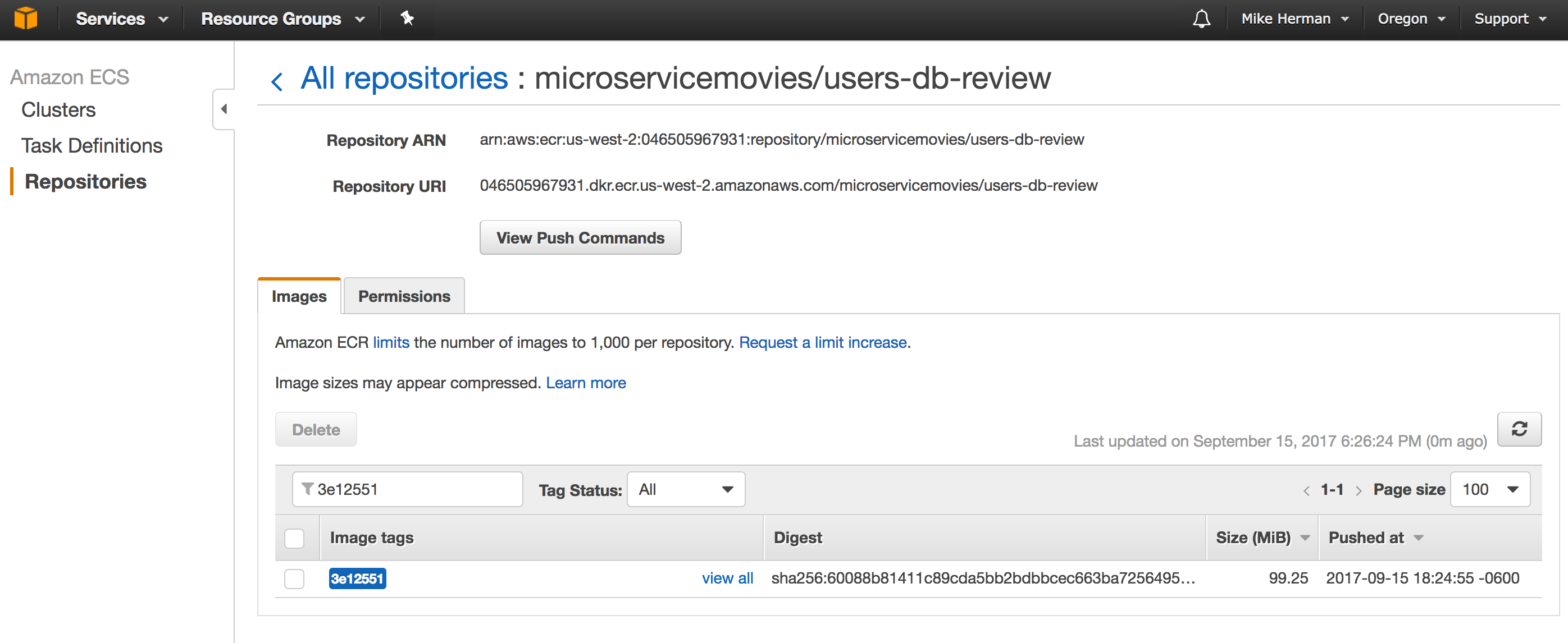 aws ecr users db review image